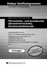 Holzer Stofftelegramme Baden-W&uuml;rttemberg / Holzer Stofftelegramme Baden-W&uuml;rttemberg - Wirtschafts- und Sozialkunde (Gesamtwirtschaft), Gemeinschaftskunde - Kathrin Bauder, Markus Bauder, Volker Holzer, Thomas Paa&szlig;, Ulrich Patzig, Christian Seifritz