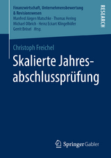 Skalierte Jahresabschlusspr&uuml;fung - Christoph Freichel