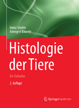 Histologie der Tiere - Streble, Heinz; Bäuerle, Annegret