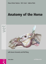 Anatomy of the Horse -  Klaus-Dieter Budras,  W. O. Sack,  Sabine Röck