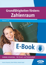 Grundf&auml;higkeiten f&ouml;rdern: Zahlenraum - Hanna Passeck, Birte P&ouml;hler, Anette Seyer