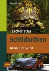 Schildkr&ouml;ten - Manfred Rogner