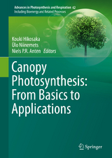 Canopy Photosynthesis: From Basics to Applications - 