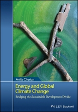 Energy and Global Climate Change - Anilla Cherian