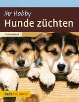 Hunde z&uuml;chten - Claudia H&auml;ndel