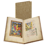 Das Passauer Evangelistar - Martina Pippal