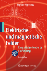Elektrische und magnetische Felder - Marlene Marinescu