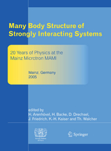 Many Body Structure of Strongly Interacting Systems - 