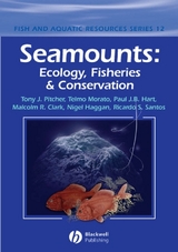 Seamounts - 
