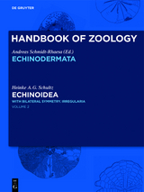 Echinoidea - Heinke  A.G. Schultz