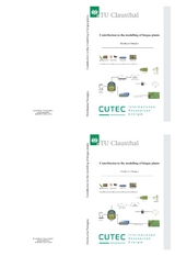 Contribution to the modelling of bigas plants - Hirenkumar Pastagiya