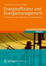 Energieeffizienz und Energiemanagement - Franz Wosnitza, Hans Gerd Hilgers
