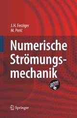 Numerische Str&ouml;mungsmechanik - Joel H. Ferziger, Milovan Peric