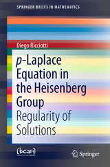 p-Laplace Equation in the Heisenberg Group - Diego Ricciotti