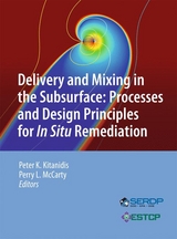 Delivery and Mixing in the Subsurface - 