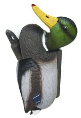 No New Kind of Duck - 