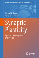Synaptic Plasticity - 