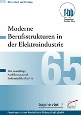 Moderne Berufsstrukturen in der Elektroindustrie -  Sylvia Krenn,  Felix Stumpf