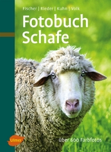 Fotobuch Schafe - Gerhard Fischer, Hugo Rieder,  Fridhelm und Renate Volk