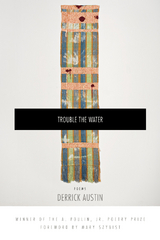 Trouble the Water - Derrick Austin