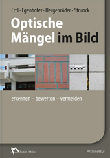 Optische M&auml;ngel im Bild - Ralf Ertl, Martin Egenhofer, Michael Hergenr&ouml;der, Thomas Strunck