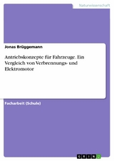 Antriebskonzepte f&uuml;r Fahrzeuge. Ein Vergleich von Verbrennungs- und Elektromotor -  Jonas Br&uuml;ggemann