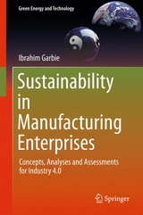 Sustainability in Manufacturing Enterprises - Ibrahim Garbie