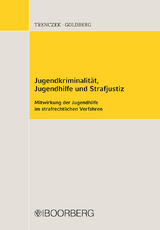 Jugendkriminalit&auml;t, Jugendhilfe und Strafjustiz - Thomas Trenczek, Brigitta Goldberg