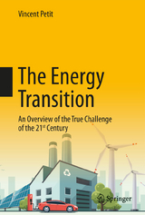 The Energy Transition - Vincent Petit