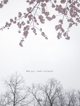 Mal gut, mehr schlecht. - 