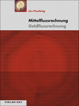 Mittelflussrechnung – Geldflussrechnung, Bundle - Prochinig, Urs