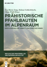 Pr&auml;historische Pfahlbauten im Alpenraum - 