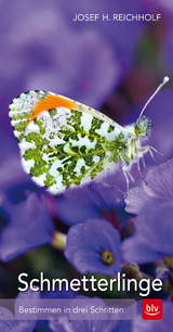 Schmetterlinge - Reichholf, Josef