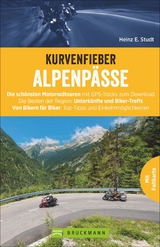 Kurvenfieber Alpenp&auml;sse - Heinz E. Studt