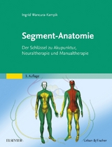 Segment-Anatomie - Wancura-Kampik, Ingrid