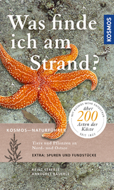 Was finde ich am Strand? - Streble, Heinz; Bäuerle, Annegret
