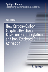 New Carbon&ndash;Carbon Coupling Reactions Based on Decarboxylation and Iron-Catalyzed C&ndash;H Activation - Rui Shang
