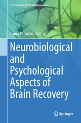 Neurobiological and Psychological Aspects of Brain Recovery - 