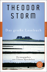 Das gro&szlig;e Lesebuch - Theodor Storm