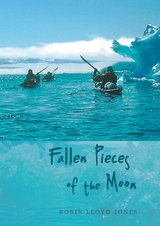 Fallen Pieces of the Moon - Robin Lloyd-Jones