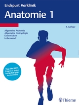 Endspurt Vorklinik: Anatomie 1 - 