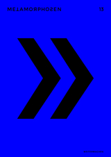 metamorphosen 13 &ndash; Weitermachen - Timo Brandt, Lena Mareen Bruns, Hartmut Abendschein, Jacob Teich, Joshua Gro&szlig;, Carla Hegerl, Philipp B&ouml;hm, Lukas Valtin, Maik Siegel, Marie-Luise Goldmann, Christian W&ouml;llecke, Hannes Bajohr, Andreas Reichelsdorfer, Caitlin Quintero Weaver, Michael Watzka, Moritz M&uuml;ller-Schwefe, Sophie-C. Hartisch, Clemens K&uuml;bler, A. H. Kunze