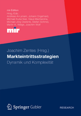 Markteintrittsstrategien - 