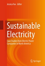 Sustainable Electricity - 