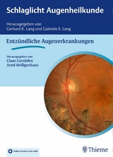 Schlaglicht Augenheilkunde: Entzündliche Erkrankungen - 