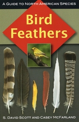 Bird Feathers -  Casey McFarland,  S. David Scott