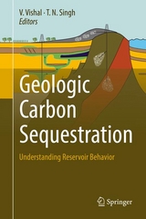 Geologic Carbon Sequestration - 