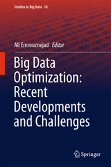 Big Data Optimization: Recent Developments and Challenges - 