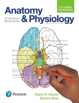 Anatomy and Physiology Coloring Workbook - Marieb, Elaine; Brito, Simone