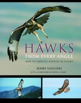 Hawks from Every Angle - Jerry Liguori